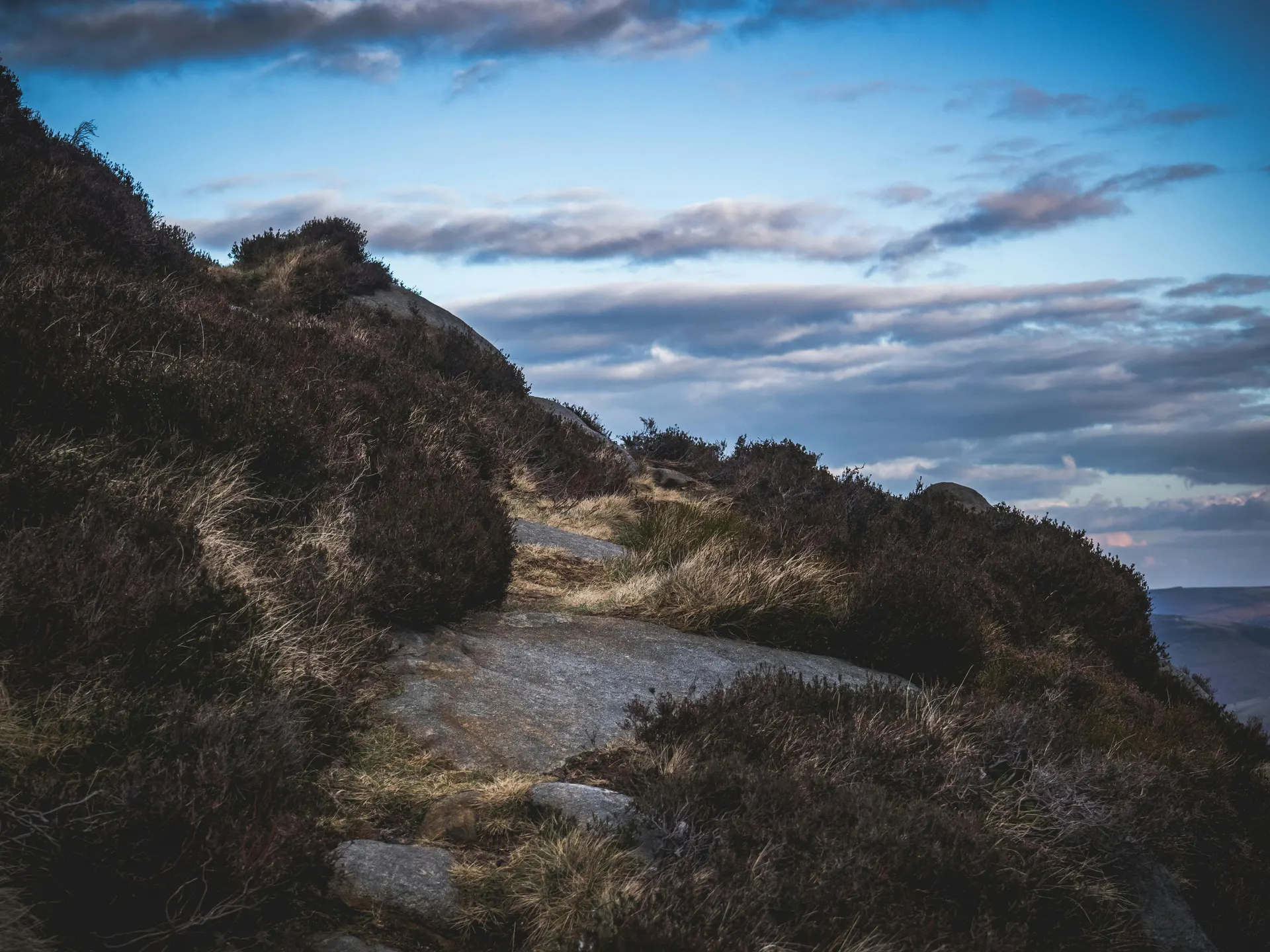 Open Yorkshire moorland wildlife route under cinematic amber sky