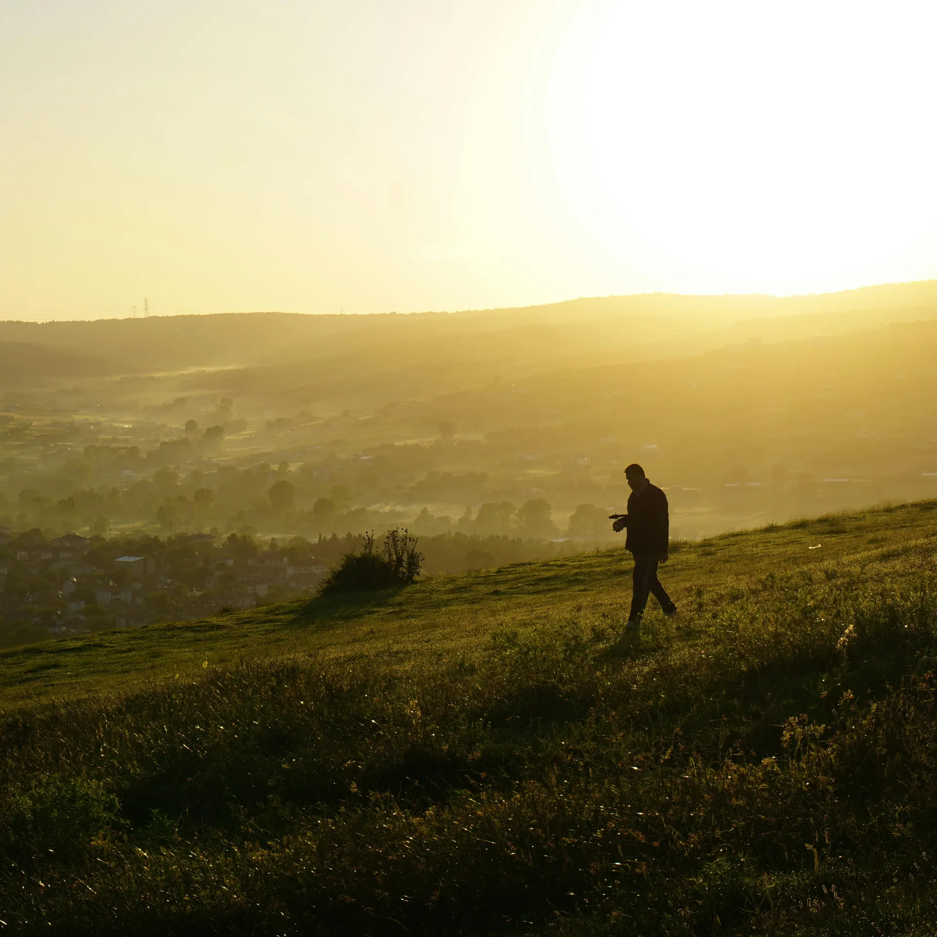 Golden evening landscape across an English wildlife reserve